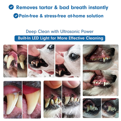 Kairo™ Smart Pet Dental Cleaner – Plaque & Tartar Remover for Dogs & Cats